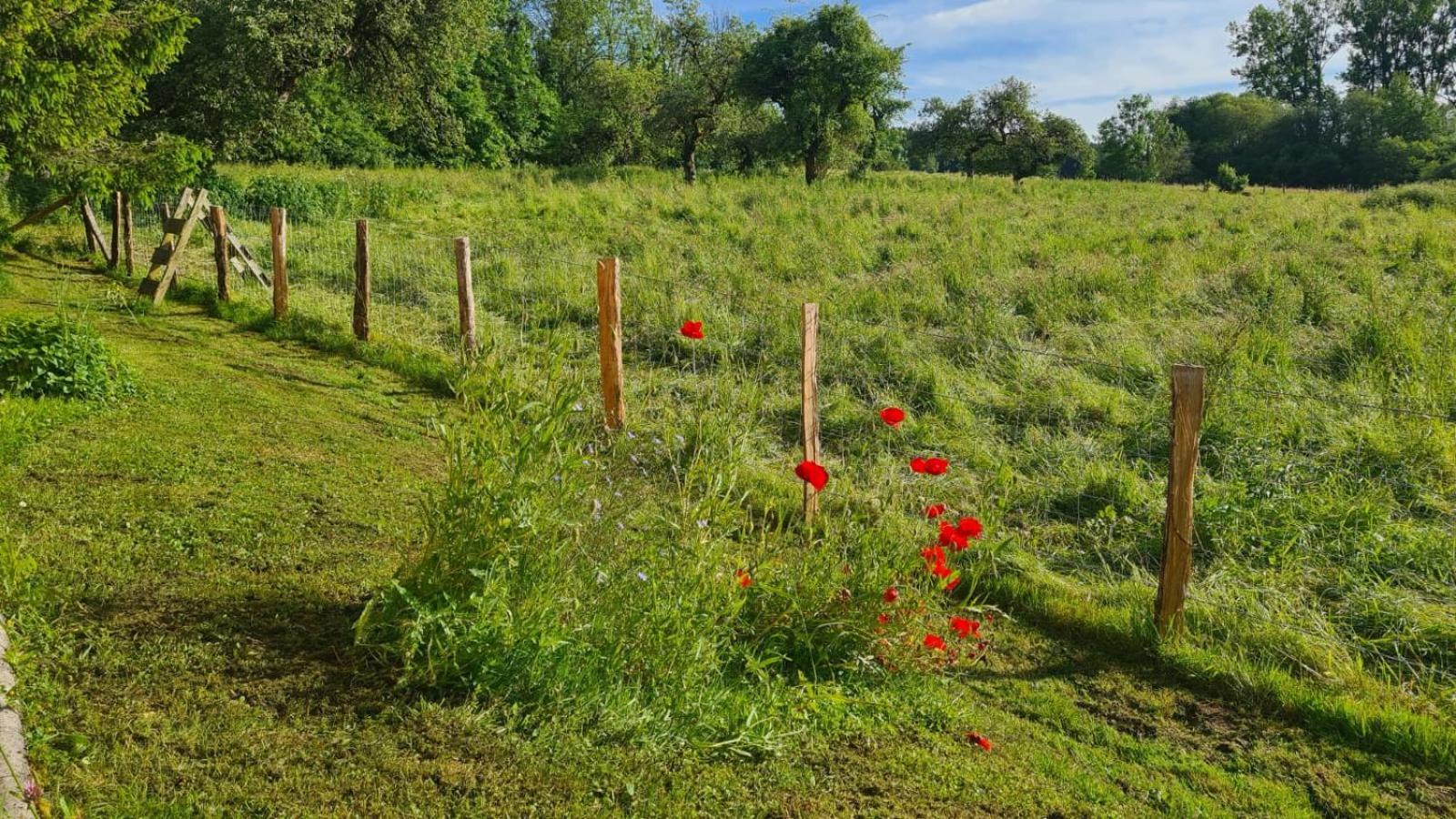 Sous Le Saule Nods Exterior foto