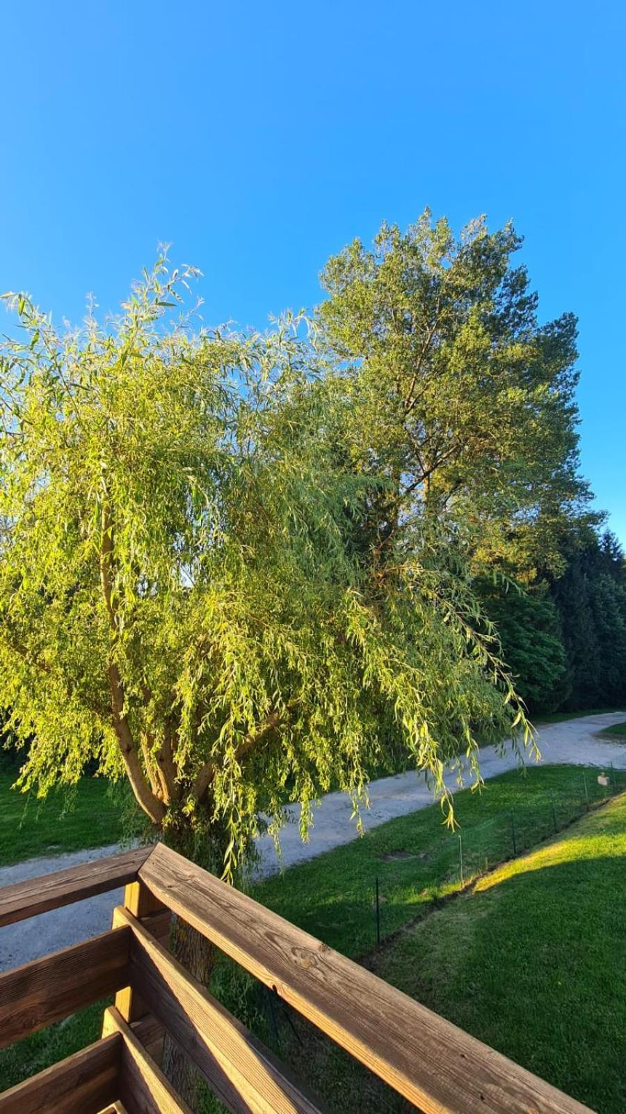 Sous Le Saule Nods Exterior foto