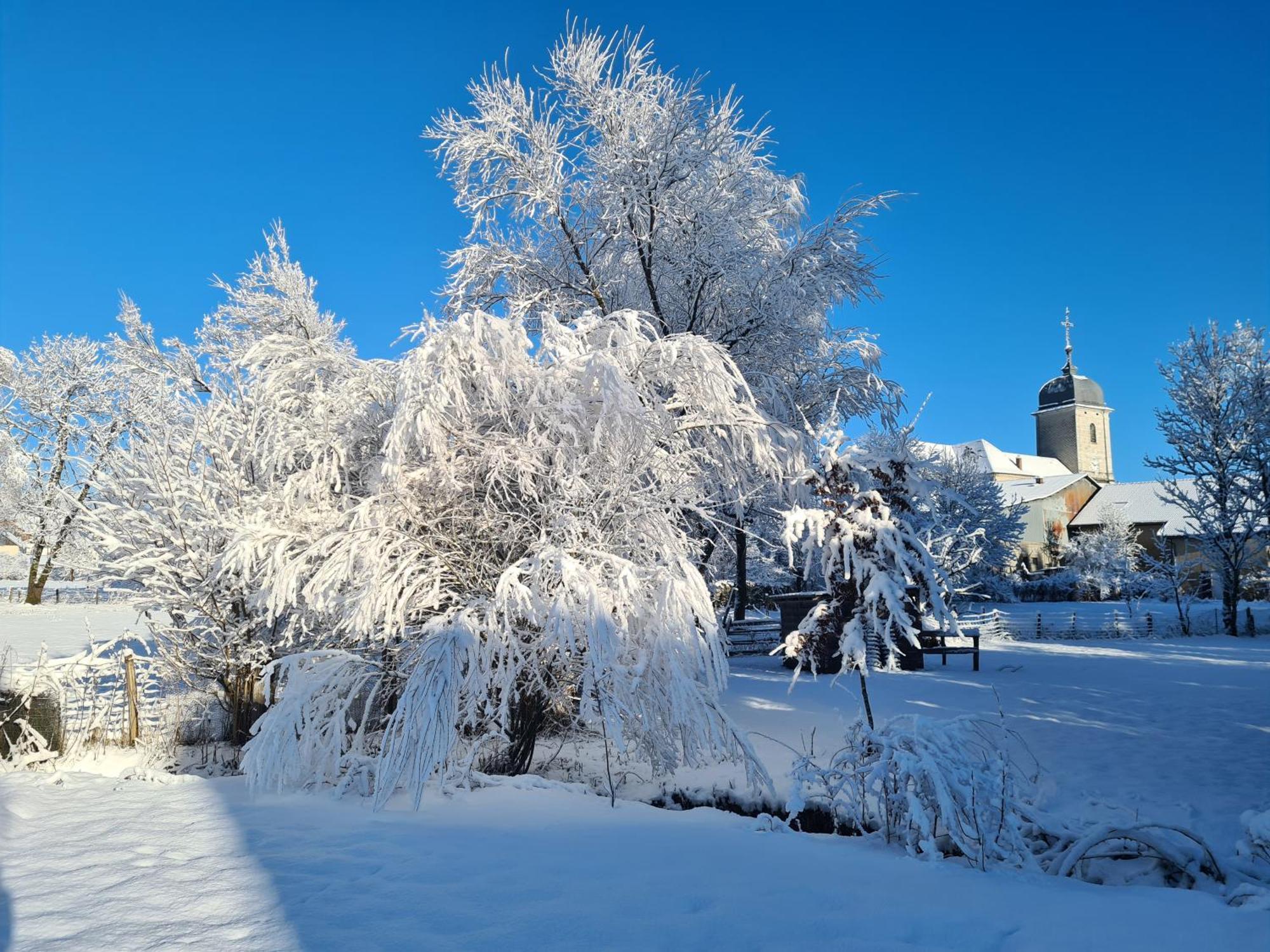 Sous Le Saule Nods Exterior foto