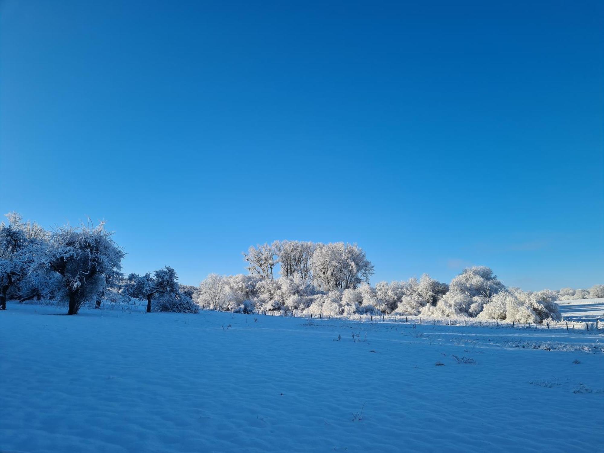 Sous Le Saule Nods Exterior foto