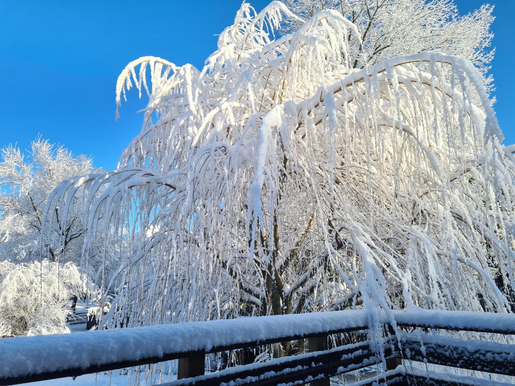 Sous Le Saule Nods Exterior foto